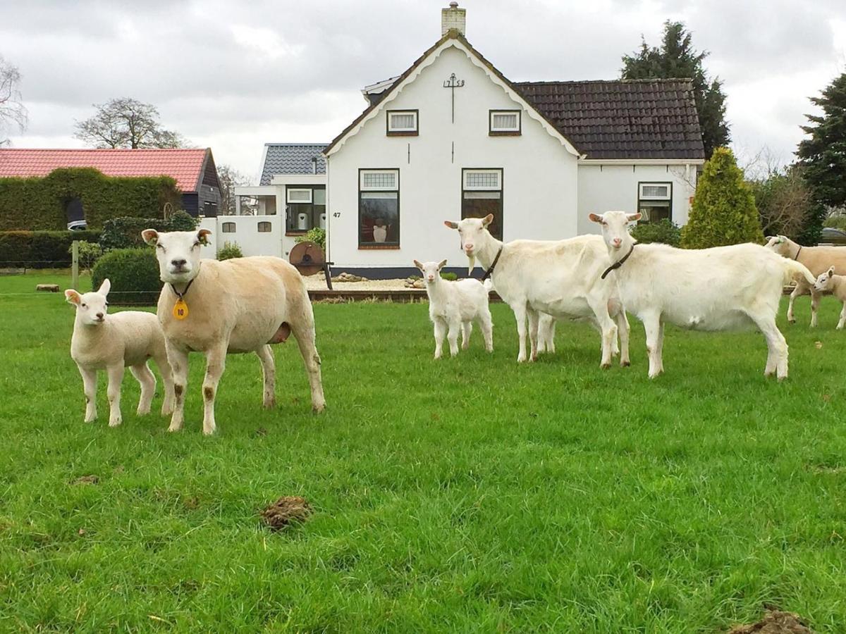 Locatie Het Knooppunt Engelse Chalet Nuis Exteriör bild