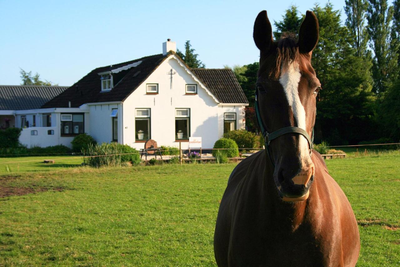 Locatie Het Knooppunt Engelse Chalet Nuis Exteriör bild
